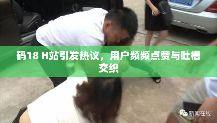码18 H站引发热议，用户频频点赞与吐槽交织