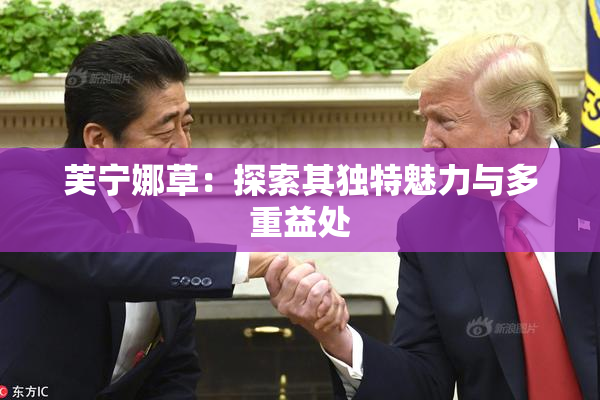 芙宁娜草：探索其独特魅力与多重益处