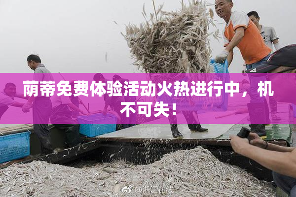 荫蒂免费体验活动火热进行中，机不可失！