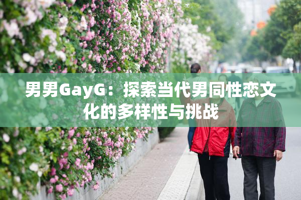 男男GayG：探索当代男同性恋文化的多样性与挑战