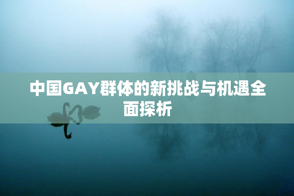中国GAY群体的新挑战与机遇全面探析