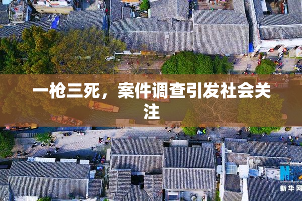 一枪三死，案件调查引发社会关注