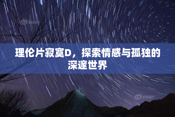 理伦片寂寞D，探索情感与孤独的深邃世界