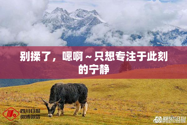 别揉了，嗯啊～只想专注于此刻的宁静