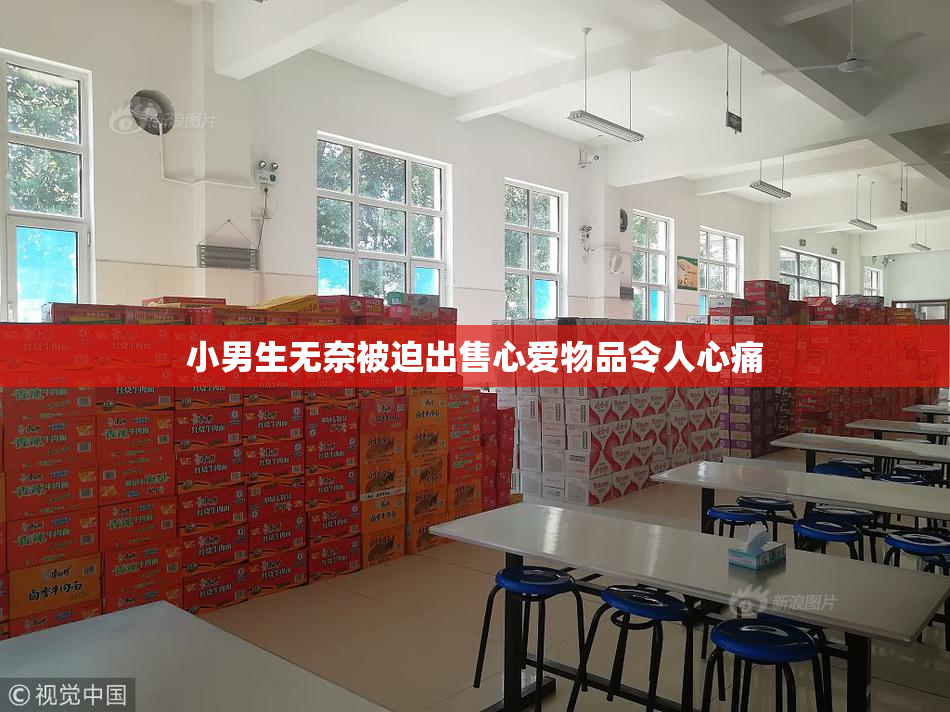 小男生无奈被迫出售心爱物品令人心痛