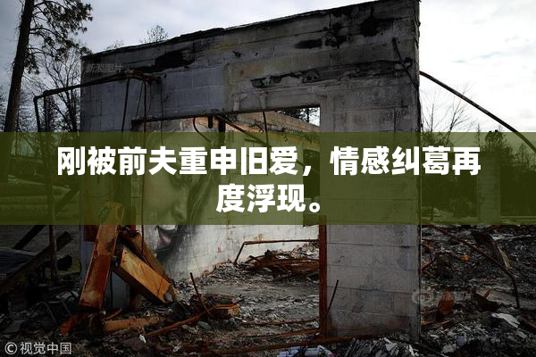刚被前夫重申旧爱，情感纠葛再度浮现。