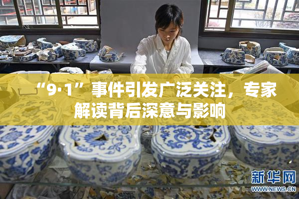 “9·1”事件引发广泛关注，专家解读背后深意与影响