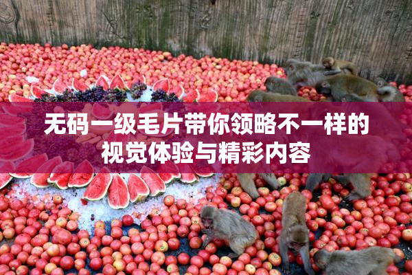 无码一级毛片带你领略不一样的视觉体验与精彩内容