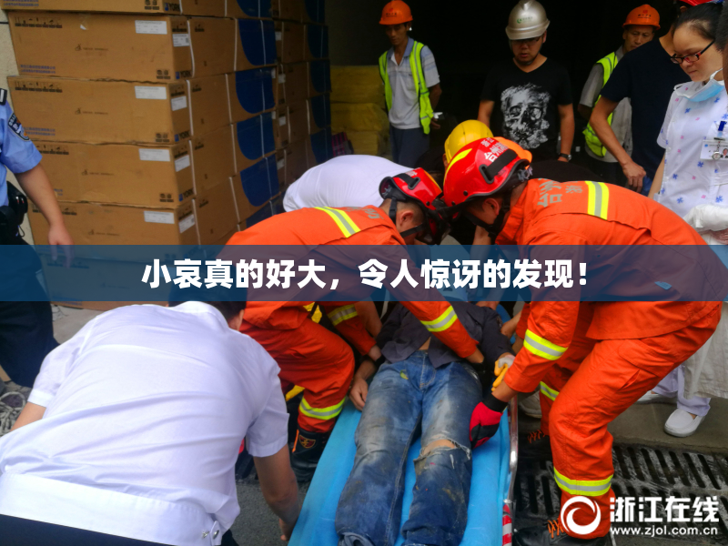 小哀真的好大，令人惊讶的发现！
