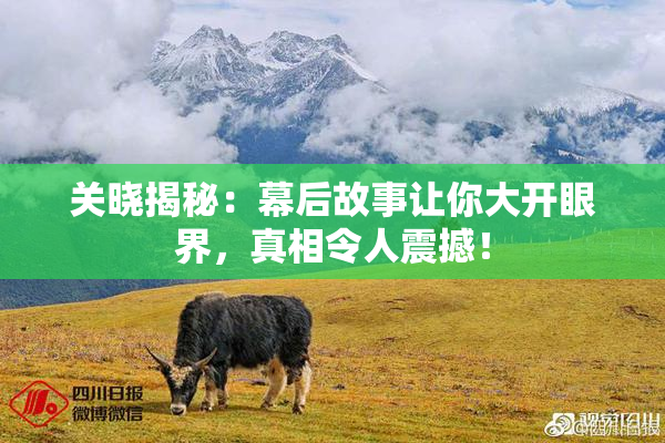 关晓揭秘：幕后故事让你大开眼界，真相令人震撼！