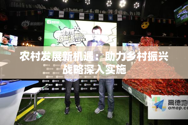 农村发展新机遇：助力乡村振兴战略深入实施