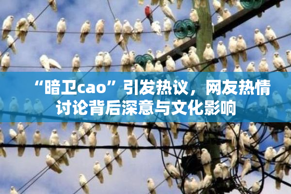 “暗卫cao”引发热议，网友热情讨论背后深意与文化影响