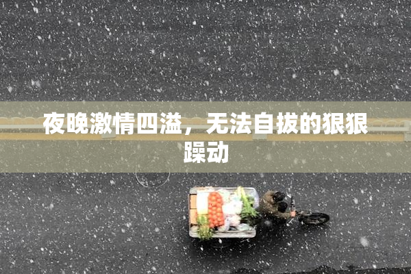 夜晚激情四溢，无法自拔的狠狠躁动