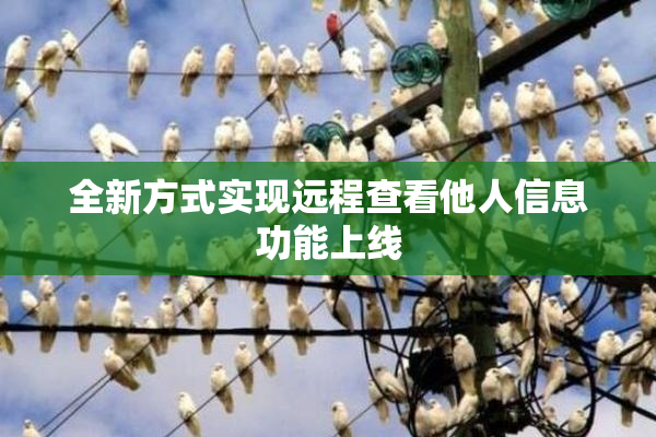 全新方式实现远程查看他人信息功能上线