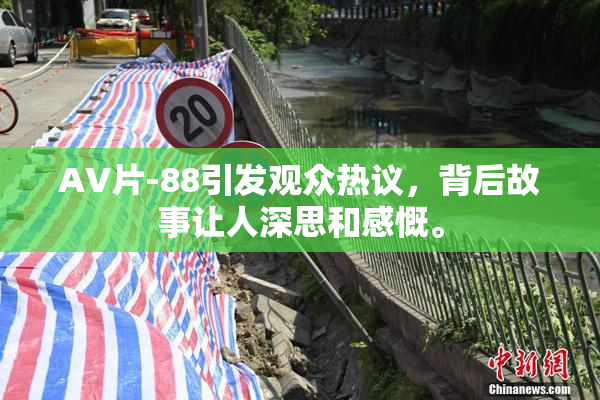 AV片-88引发观众热议，背后故事让人深思和感慨。
