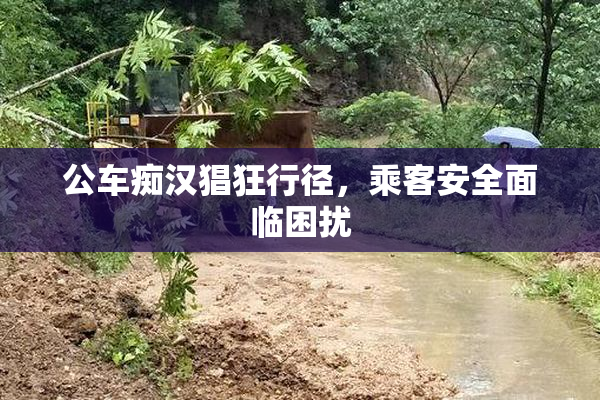 公车痴汉猖狂行径，乘客安全面临困扰