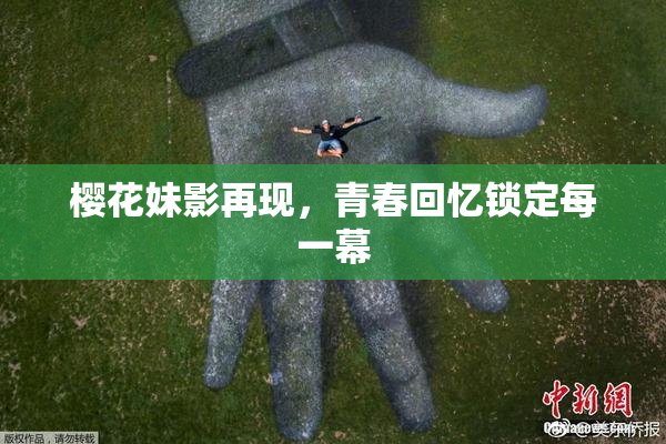 樱花妹影再现，青春回忆锁定每一幕