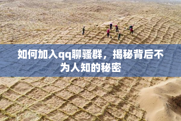 如何加入qq聊骚群，揭秘背后不为人知的秘密