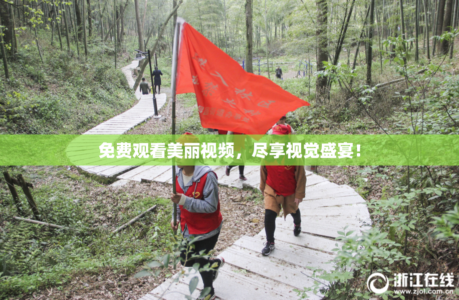 免费观看美丽视频，尽享视觉盛宴！