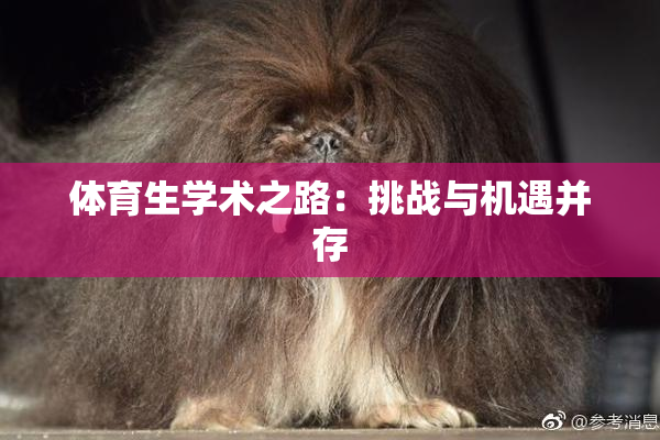 体育生学术之路：挑战与机遇并存