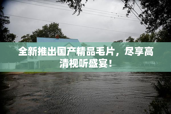 全新推出国产精品毛片，尽享高清视听盛宴！