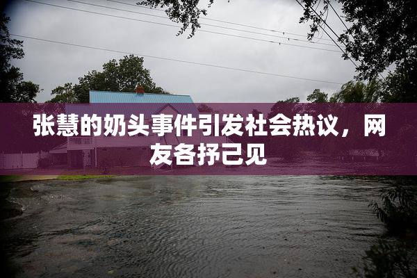 张慧的奶头事件引发社会热议，网友各抒己见