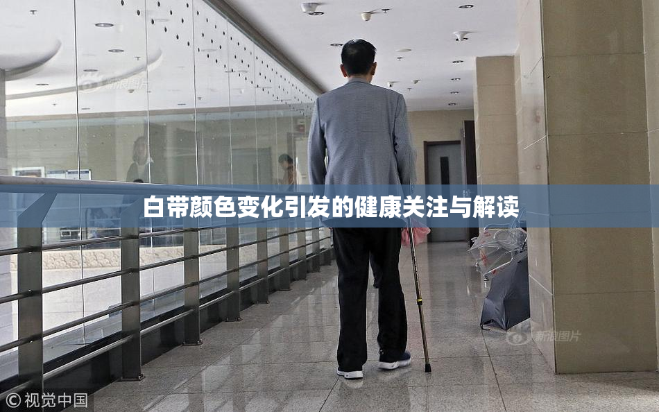 白带颜色变化引发的健康关注与解读