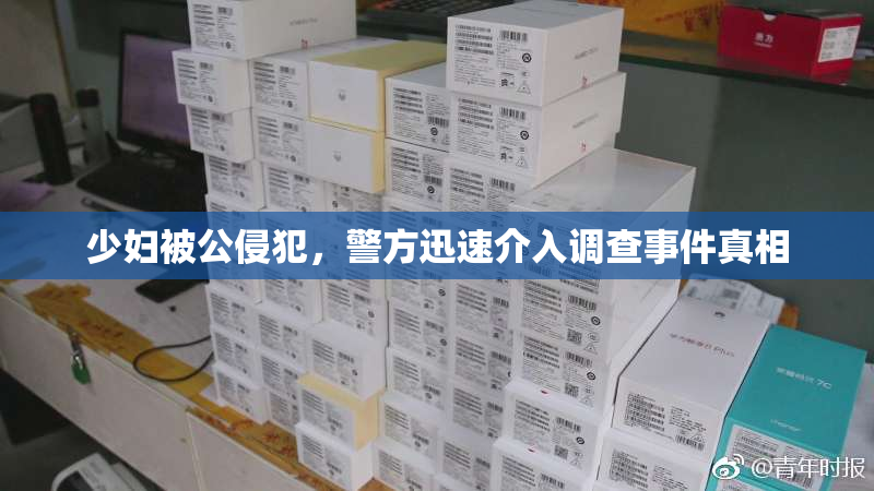 少妇被公侵犯，警方迅速介入调查事件真相