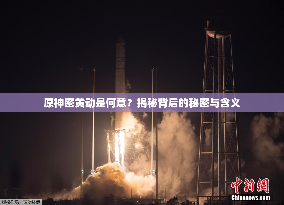 原神密黄动是何意？揭秘背后的秘密与含义