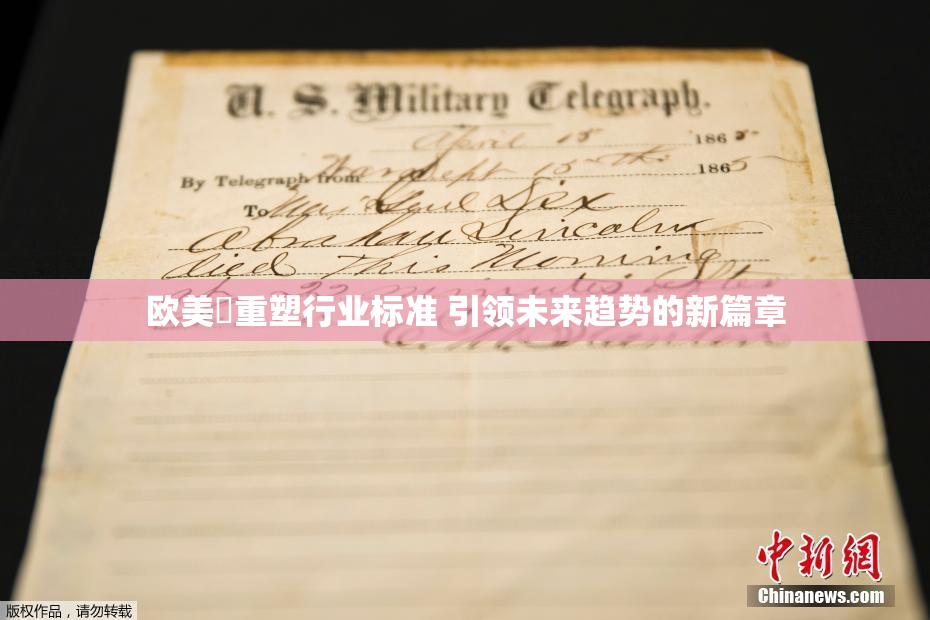欧美巜重塑行业标准 引领未来趋势的新篇章