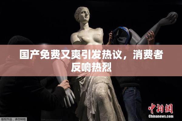 国产免费又爽引发热议，消费者反响热烈