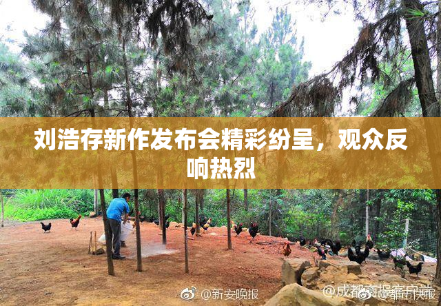刘浩存新作发布会精彩纷呈，观众反响热烈