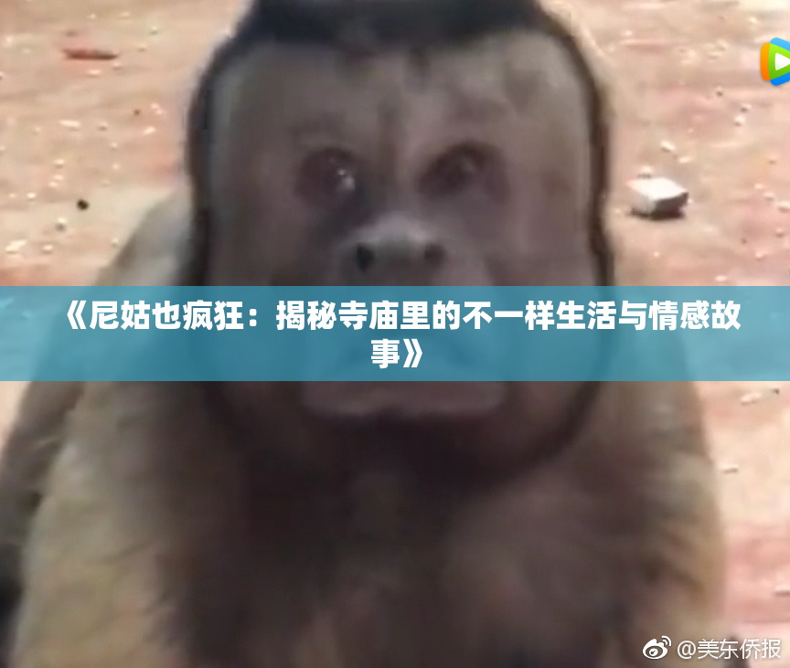 《尼姑也疯狂：揭秘寺庙里的不一样生活与情感故事》