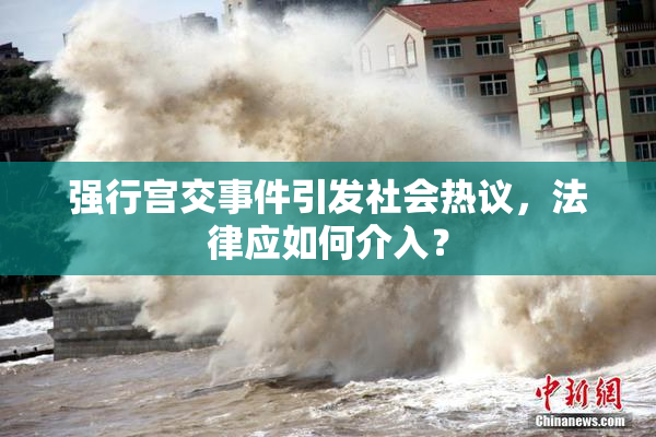 强行宫交事件引发社会热议，法律应如何介入？