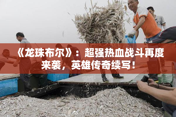 《龙珠布尔》：超强热血战斗再度来袭，英雄传奇续写！