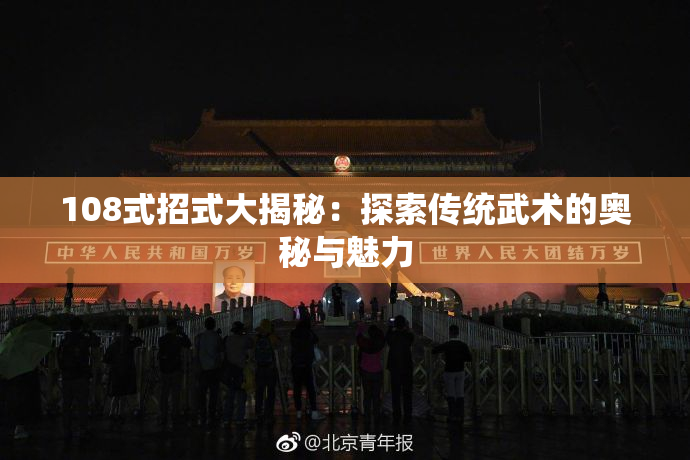 108式招式大揭秘：探索传统武术的奥秘与魅力