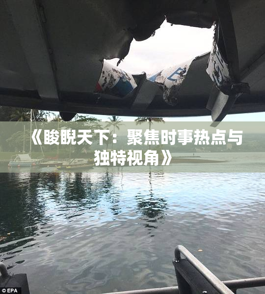 《睃睨天下：聚焦时事热点与独特视角》