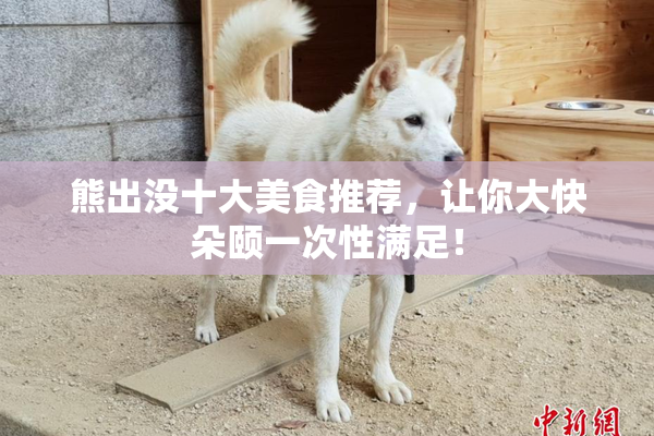 熊出没十大美食推荐，让你大快朵颐一次性满足！