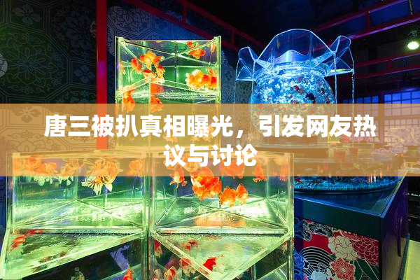 唐三被扒真相曝光，引发网友热议与讨论