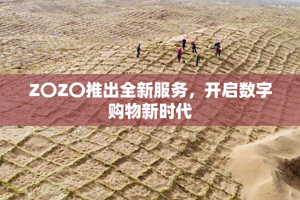 Z〇Z〇推出全新服务，开启数字购物新时代