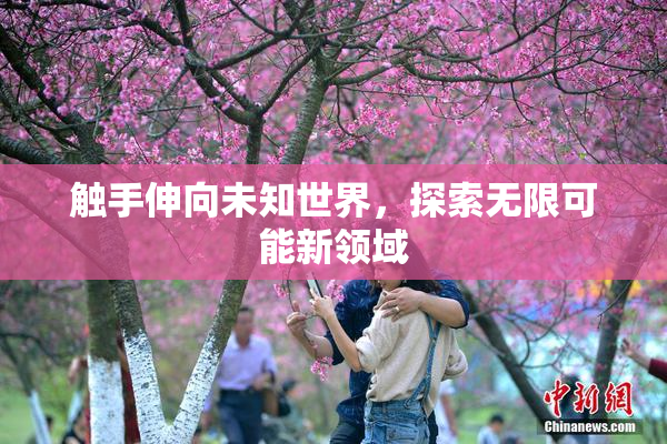 触手伸向未知世界，探索无限可能新领域