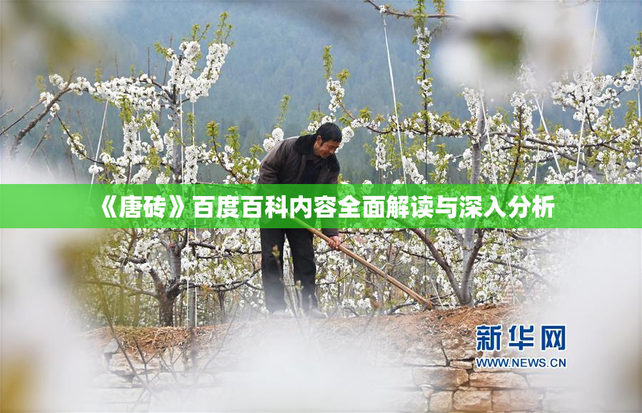 《唐砖》百度百科内容全面解读与深入分析
