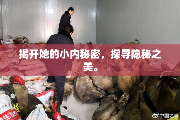 揭开她的小内秘密，探寻隐秘之美。