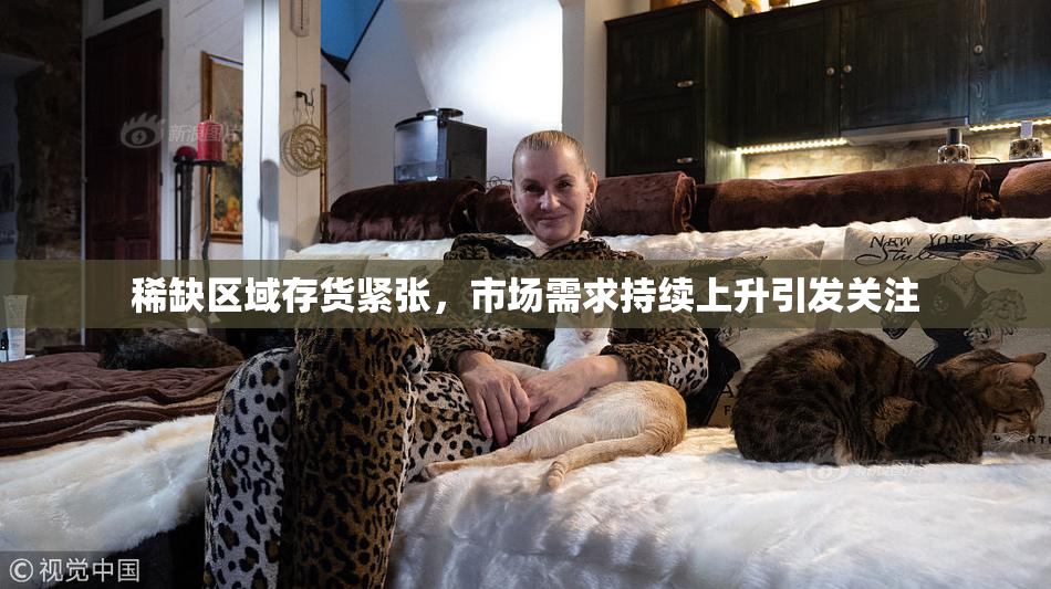 稀缺区域存货紧张，市场需求持续上升引发关注