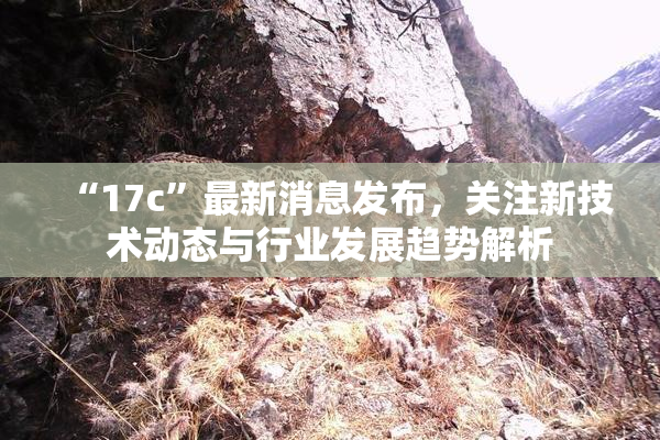 “17c”最新消息发布，关注新技术动态与行业发展趋势解析