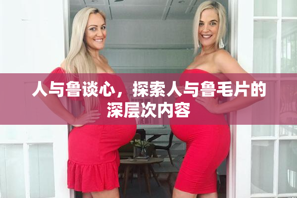 人与鲁谈心，探索人与鲁毛片的深层次内容