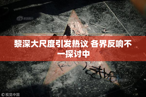 黎深大尺度引发热议 各界反响不一探讨中