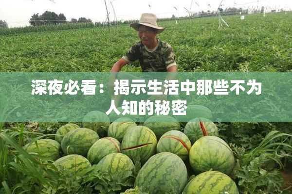 深夜必看：揭示生活中那些不为人知的秘密