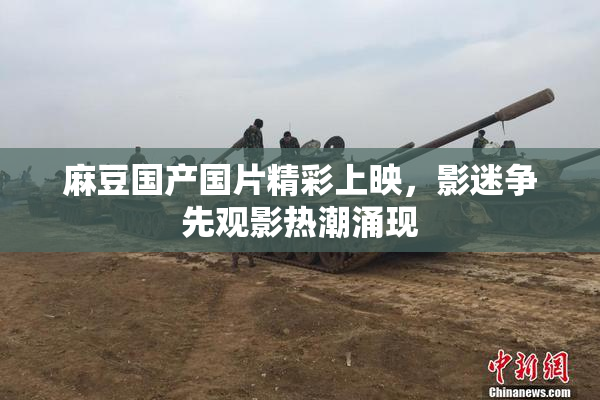 麻豆国产国片精彩上映，影迷争先观影热潮涌现