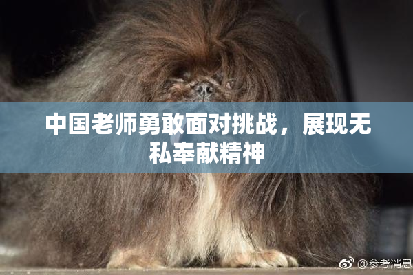 中国老师勇敢面对挑战，展现无私奉献精神